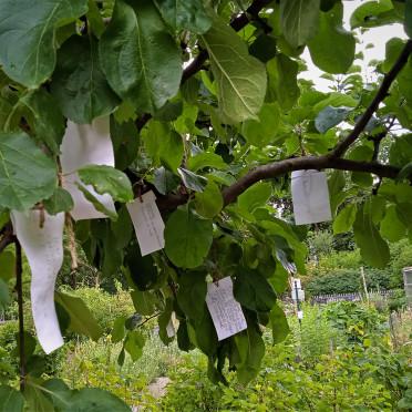 stadtacker münchen 2023_2